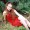 Avatar de Reine_ms10