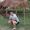 Avatar de Rabindra_aa