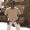 Avatar de rCOral95